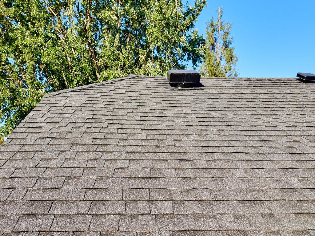 ROOF CLEANING 